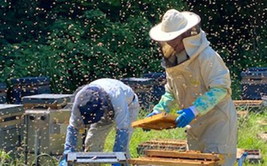 百花蜂蜜 約550g×2本 B-041