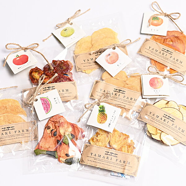 【ふるさと納税】【レビューキャンペーン対象商品】ヤマキ農園 ドライフルーツ ・ハーフセット ｜ドライフルーツ セミドライ しっとり おやつ 無添加 ギフト プチギフト スイカ 梨 パイナップル りんご トマト 柿 果物 岐阜県 美濃加茂 美濃加茂市 送料無料 M12S84
