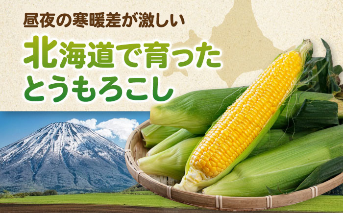 とうもろこし トウモロコシ スイートコーン コーン 産地直送 旬 野菜 高糖度