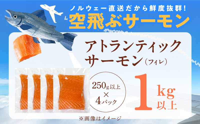 【無地熨斗】アトランティックサーモン 総量 1kg以上【フィレ エコパック 訳あり サイズ不揃い 刺身 さーもん 冷凍 北国からの贈り物】 015B474-1