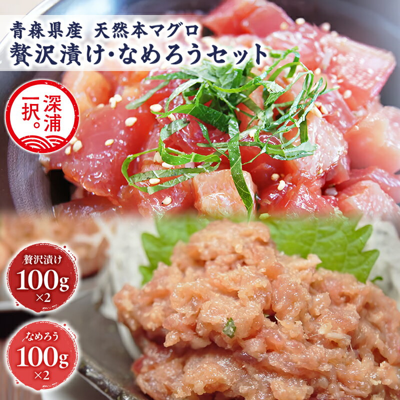 【ふるさと納税】天然 本マグロ 漬け なめろう 2種セット 国産 本鮪 まぐろ マグロ クロマグロ 鮪 漬け丼 丼ぶり 海鮮丼 海鮮 魚介 贅沢 お取り寄せ 詰め合わせ グルメ 産地直送 送料無料 冷凍 あおもり海山