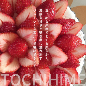 小島農園いちご狩りチケット 2名