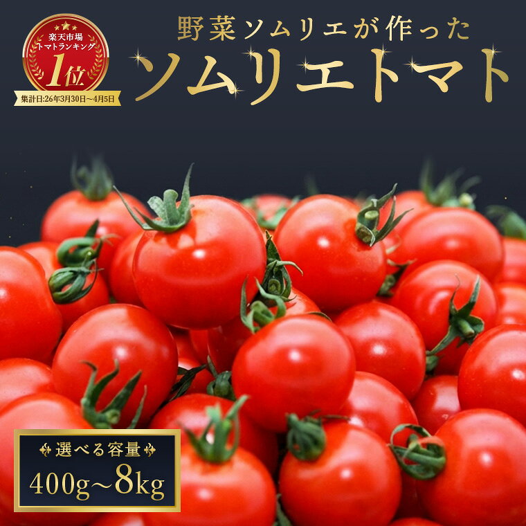 【ふるさと納税】ミニトマト ソムリエトマト ダイヤ プラチナ 熊本 玉名 トマト ミニトマト とまと 生産者直送 産地直送 送料無料 レッドアップ メール便 置き配