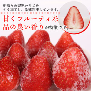 冷凍 いちご 苺 2kg以上 完熟 きらぴ香 ヘタ取り いちご  牧之原市 森木農園