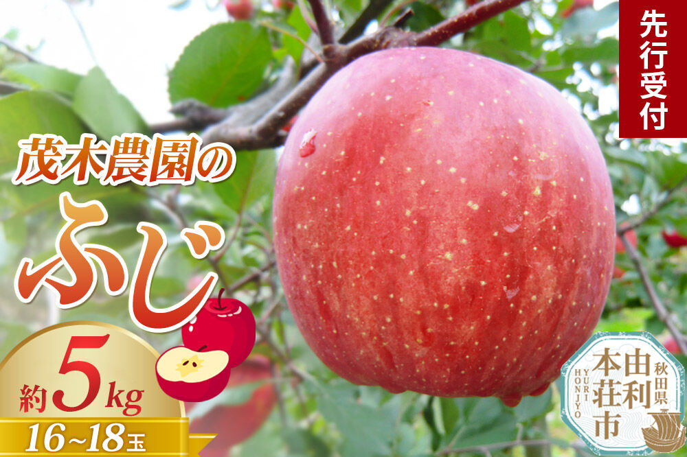 《先行受付》茂木農園のりんご ふじ 約5kg 16～18玉 [りんご 林檎 リンゴ フルーツ 果実 果物 先行受付 先行予約 秋田県 由利本荘市 茂木農園]