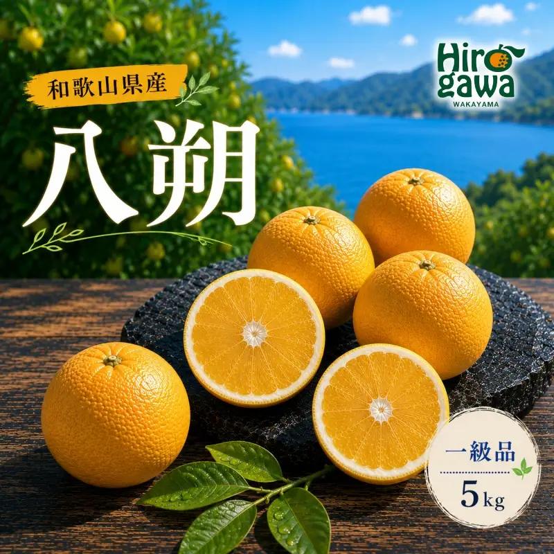 八朔 一級品 5kg / 和歌山 有田 広川 はっさく 柑橘 果物 くだもの ギフト フルーツ 果実 ※2027年2月上旬～2月下旬頃に順次発送予定【hkt021-p-5A】