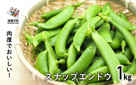 【先行予約】 種子島 スナップエンドウ 人気 種子島産 返礼品 南種子町 鹿児島 かごしま 【12月発送予定】【のっちーよ種子島】