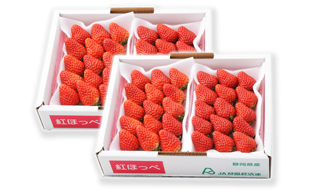 いちご 紅ほっぺいちご 約260g 4パック おすすめ いちご