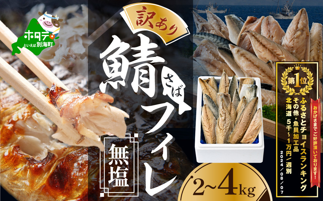
            ランキング第1位獲得！【先行予約】今秋以降発送予定　【訳あり】無塩 サバ フィレ  （ふるさと納税 鯖 ふるさと納税 サバ 塩鯖 塩サバ 魚 切り身 ふるさと納税 訳あり わけあり ふるさと おかず 惣菜 大容量 ） 
          