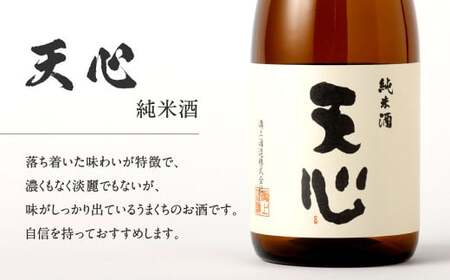溝上酒造　日本酒セット①（720ml×3本）