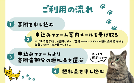 ＼30品から選べる／ 猫助けオンラインカタログ  1万円 有効期限なし 後から選べる 猫 ネコ ねこ 保護猫 スイーツ カタログ 焼肉 ラーメン 特産品 グルメ 無期限 飛騨牛 スイーツ ラーメン 日