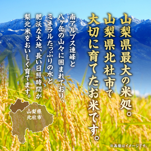 【令和7年度米】【6ヶ月定期便】JA梨北米（精米）10kg おまかせ銘柄 梨北信玄米コシヒカリ 武川コシヒカリ 農林48号 コシヒカリ 山梨県産 つやひめ 甘み 粘り 山梨最大の米処 北杜市武川町産 