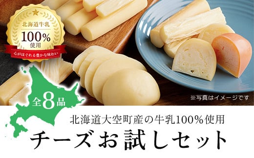 チーズお試しセット 【 ふるさと納税 人気 おすすめ ランキング チーズ 乳製品 チェダー ゴーダ スモーク モッツァレラ セット 詰合せ 詰め合わせ お試し 北海道生乳 北海道 大空町 送料無料 】 OSA006