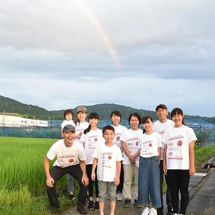 いちじく 朝採り 【2026年配送】　約1kg ／ 無花果 イチジク フルーツ くだもの 果物 果実 朝採れ 新鮮 農家直送 河南町産 大阪府 特産品 No.330