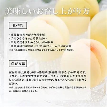 【先行受付】岡山県産　白桃6玉(1.6kg以上)　化粧箱入り【配送不可地域：離島・北海道・沖縄県】【1281362】