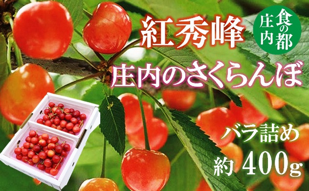 
            ★先行予約★食の都庄内　【令和7年産】庄内のさくらんぼ「紅秀峰」400gバラ詰め※令和7年6月中下旬～7月上旬頃発送予定
          