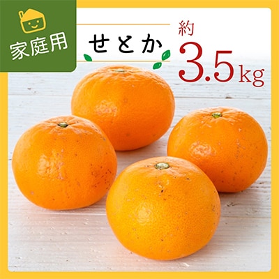 コウ果樹園の家庭用【せとか】3.5kg【C33−31】【1441231】