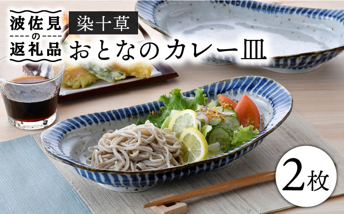 
【波佐見焼】おとなの カレー皿 （染十草） 2枚セット 食器 皿 【大桂工房】 [GD30]
