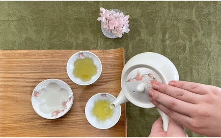 田清窯 有田焼 煌めく木蓮花 茶器セット ec005