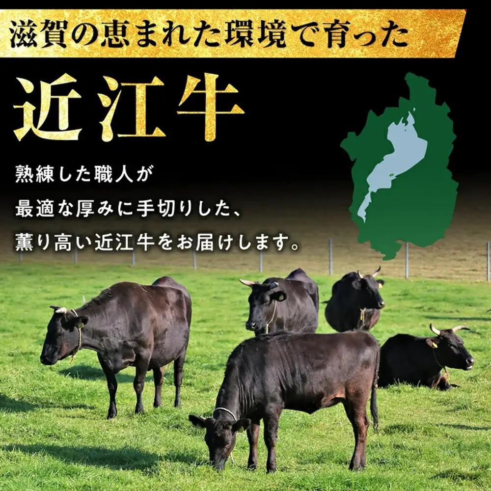 【ふるなびWEEK対象】近江牛ヒレステーキ　300ｇ(2枚)