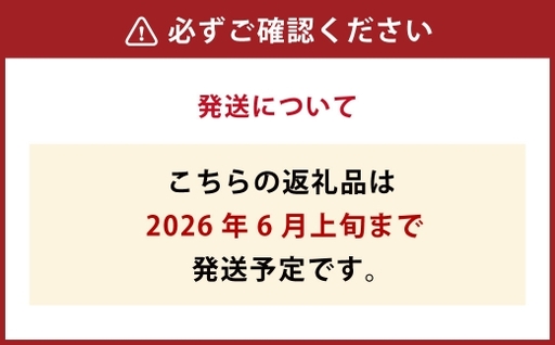 北海道産 船上活〆鮮魚詰め合わせ 約3kg 【2026年6月上旬まで発送予定】 鮮魚 活〆 血抜き セット 旬 出汁 3キロ 魚 魚類 魚介 魚介類 食材 国産 鮮魚セット 詰め合わせ