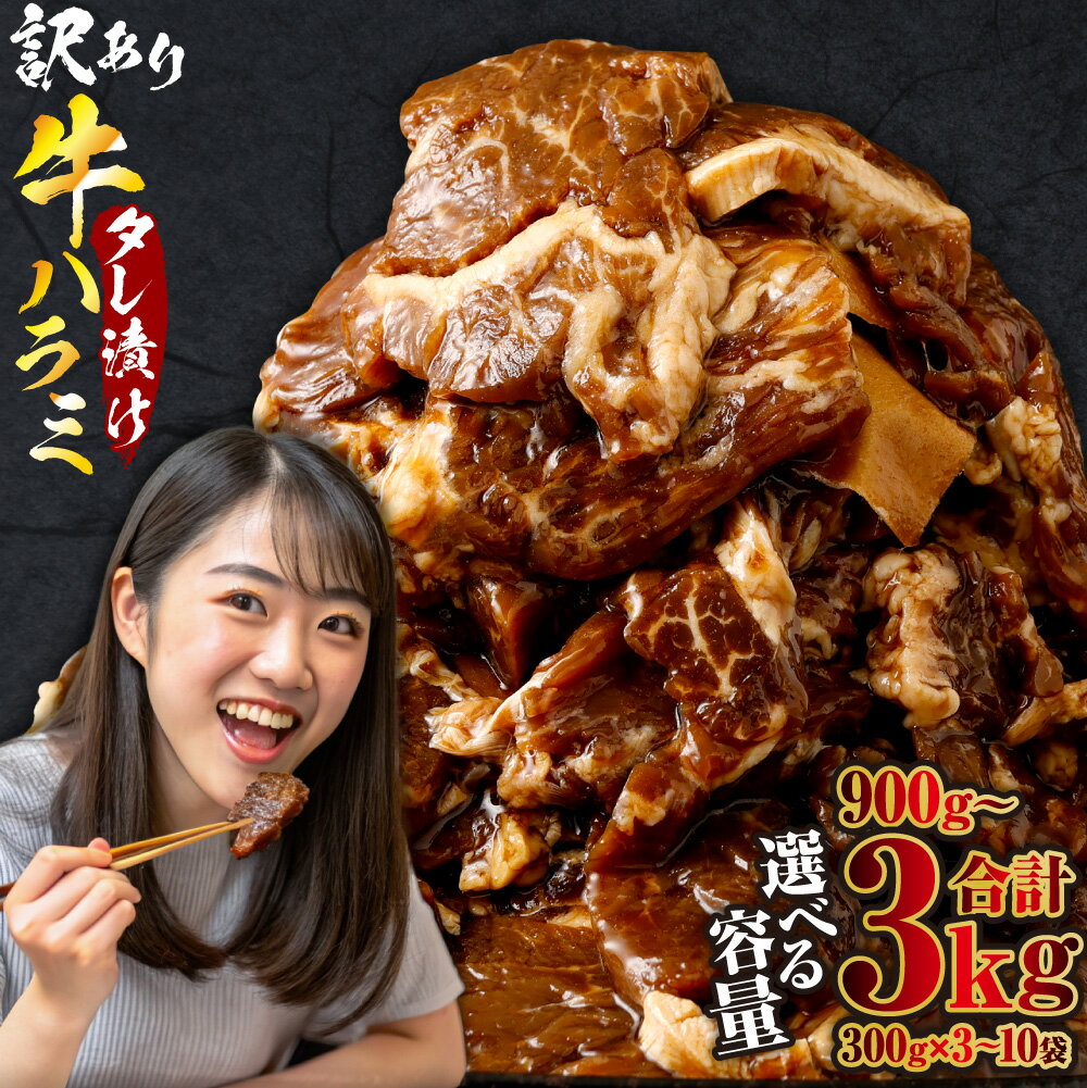 【ふるさと納税】やわらか 牛ハラミ（サガリ）肉 【選べる容量】極旨秘伝醤油タレ漬け 計約900g～約3kg（約300g×3袋～10袋)【訳あり】【先行予約】希少部位 牛肉 ハラミ 肉 お肉 焼肉 BBQ 炒め物 小分け 焼くだけ 簡単調理 時短 冷凍 鹿児島県 薩摩川内市 送料無料