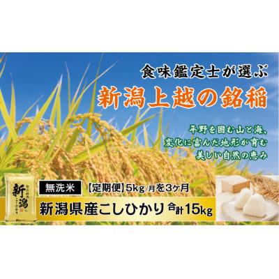 ふるさと納税 上越市 【発送月固定定期便】【先行予約】〈無洗米〉食味鑑定士厳選 上越産こしひかり[5kg]全3回
