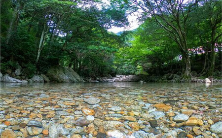 四万十川源流、森の国「水際のロッジ」1泊2日　朝夕食付き1名様宿泊チケット※着日指定不可