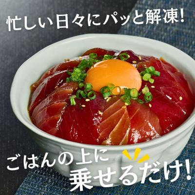 ふるさと納税 三浦市 手軽にたんぱく質!まぐろ漬け丼のもと 100g×5袋 解凍してご飯にのせるだけ 冷凍ストックOK |  | 03