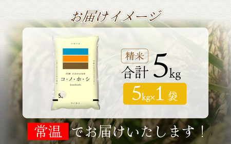 兵庫県産コノホシ (5kg) 米 / 米