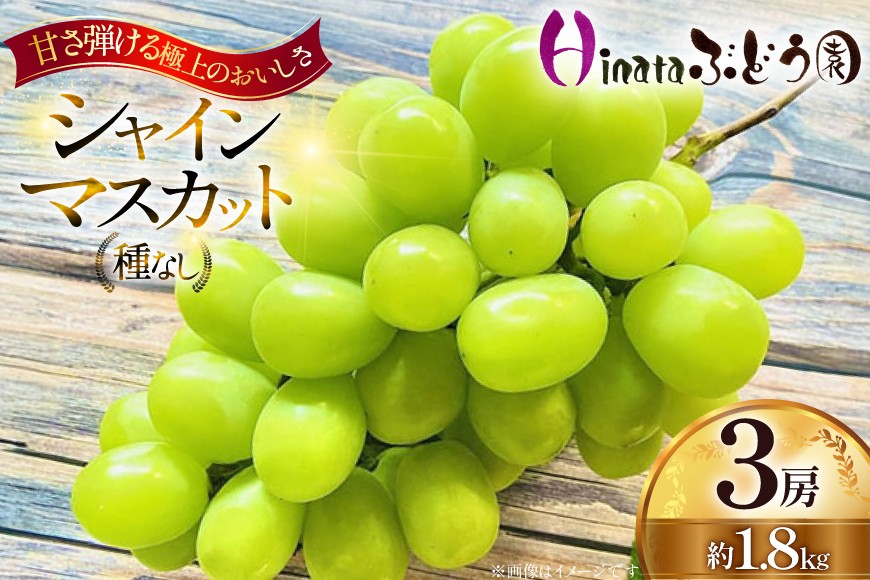 
                  【期間限定発送】 シャインマスカット 3房 約1.8kg [Ｈinataぶどう園 山形県 高畠町 tk06ayt190012] フルーツ 果物 くだもの ぶどう ブドウ 葡萄 種なし 1.2キロ 甘い
                