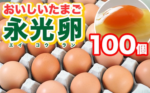 
メディア紹介多数！ おいしいたまご永光卵 100個 えいこうらん 光永ファーム 卵 たまご 君津市産
