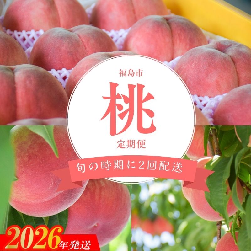 【ふるさと納税】No.2918 ヤマ孝 紺野果樹園 福島の桃だけ2種定期便各約2kg【2026年発送】