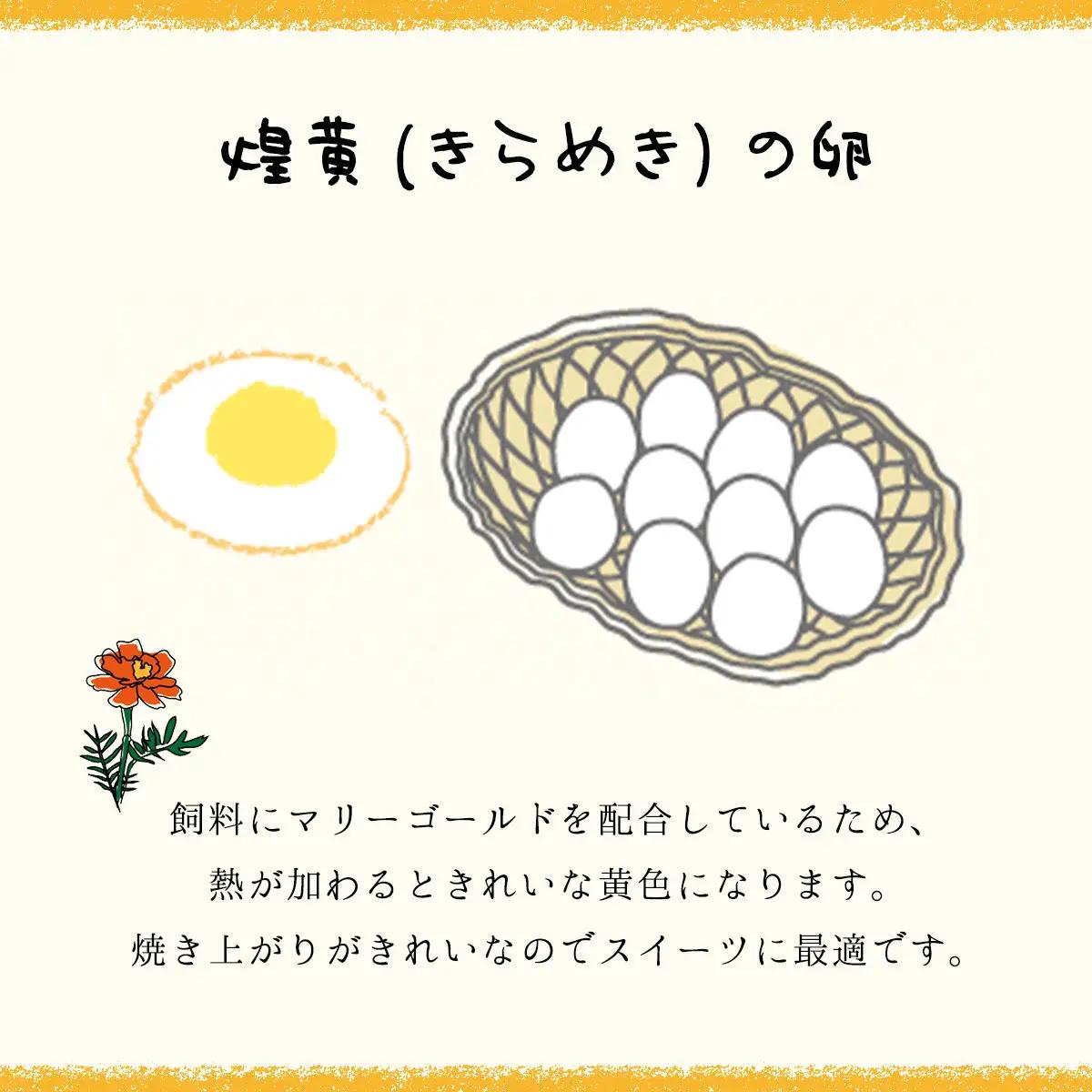 8ヶ月定期便 たまごやとよまる 煌黄30個 SMAS022 千葉県 山武市 卵 たまご タマゴ