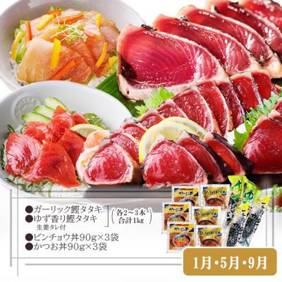 ふるさと納税 枕崎市 定期便(2回配送)一本釣りかつお・まぐろ三昧　(さつまあげも) DD-6005 |  | 01