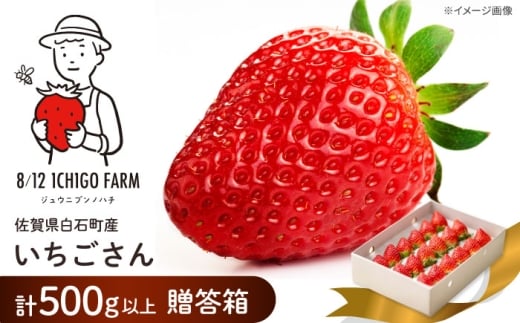 ギフトにもおすすめ！化粧箱入り いちごさん 500ｇ以上 【8/12ICHIGOFARM】[IBR003] [IBR003]