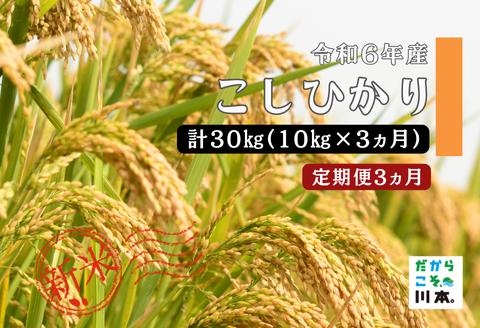 150264【令和6年産／お米定期便／3ヵ月】しまね川本こしひかり10kg(計30kg）