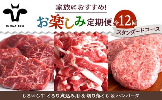 【牧場直送】【12回定期便】しろいし牛 家族向け お楽しみ 定期便（スタンダードコース）【佐賀セントラル牧場】佐賀県産 牛肉 お肉 肉 ハンバーグ 切り落とし 炒め物 贅沢 九州 佐賀県 白石町 [IAH211]