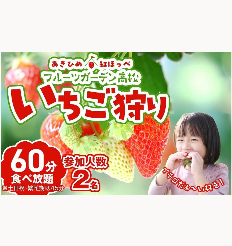 【1レーン貸切・最大60分食べ放題（土日祝・繁忙期は45分）】いちご狩り券 2名様（３歳以上）愛知 体験 チケット くだもの狩り フルーツ狩り H175-007