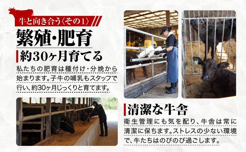114-1 鹿児島県産黒毛和牛特上切り落とし 1.5kg入　KN019-005