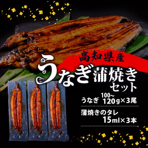 うなぎ 国産 高知県産 鰻 蒲焼き 100g～120g×3尾 セット 蒲焼きのタレ 付き 高知県 須崎市 ( うなぎ 蒲焼き うなぎ 冷凍 うなぎ スタミナ うなぎ 土用の丑の日 うなぎ タレ うなぎ