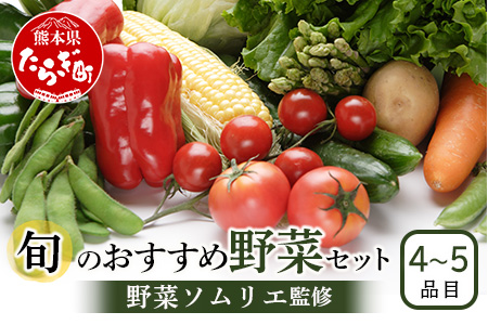 【数量限定】野菜ソムリエ 監修 旬の おすすめ 野菜 セット ４?5品 (1?2名様向け) 野菜 獲れたて 直送 旬 熊本県 多良木町 調味料 024-0801