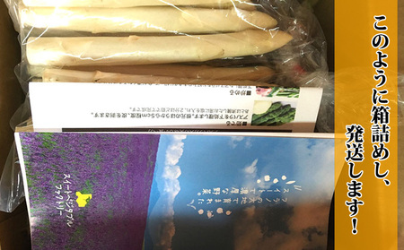 アスパラセット 富良野産 グリーン ホワイト サイズ混合【1kg 60本前後】