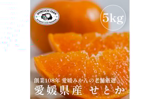 ＜2026年2月発送＞柑橘の大トロ＜せとか5kg(約15個～30個)＞家庭用＜F70-57＞【1554059】