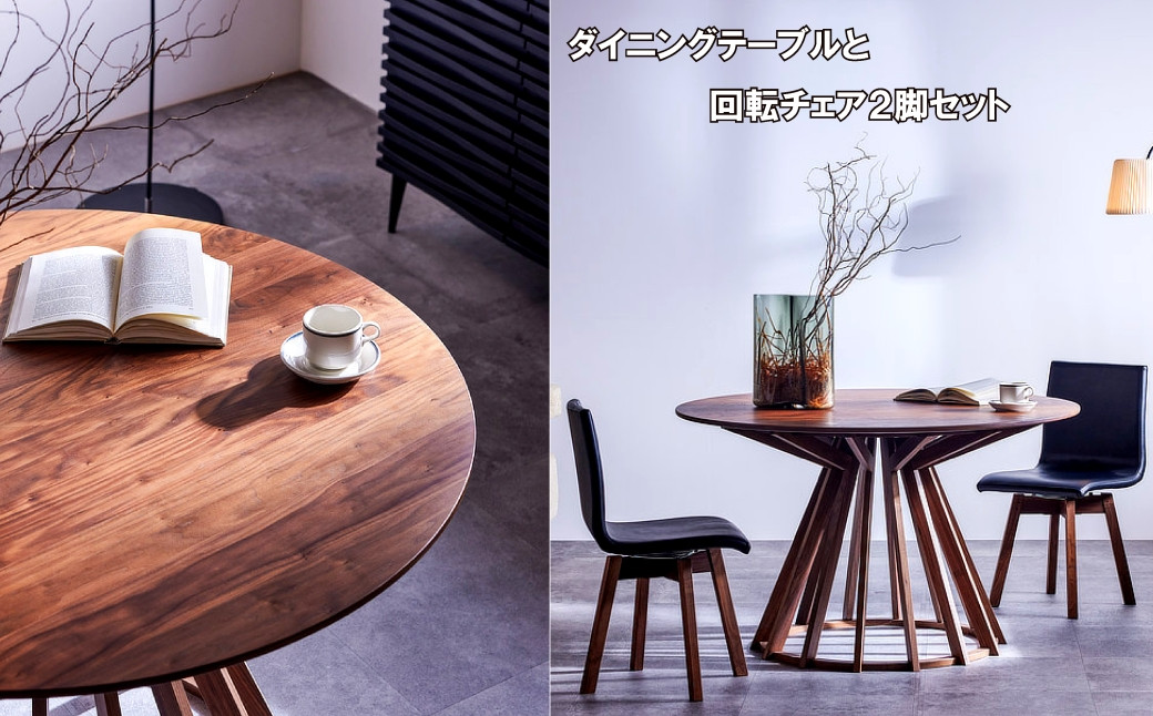 
            レグナテック 諸富家具【アラクネ:110】【ロタンテ】ダイニングテーブルとチェア（回転）2脚セット
          