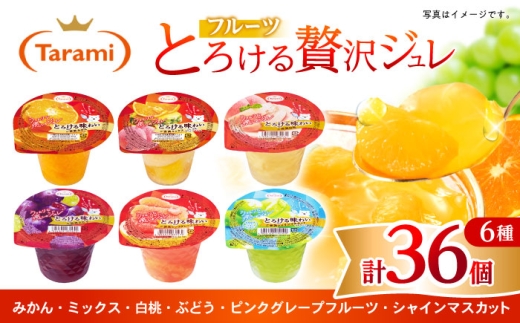 とろける味わい 200g 6種×各6個 計36個セット(みかん・ミックス・白桃・ぶどう・ピンクグレープフルーツ・シャインマスカット) [AHBR040]