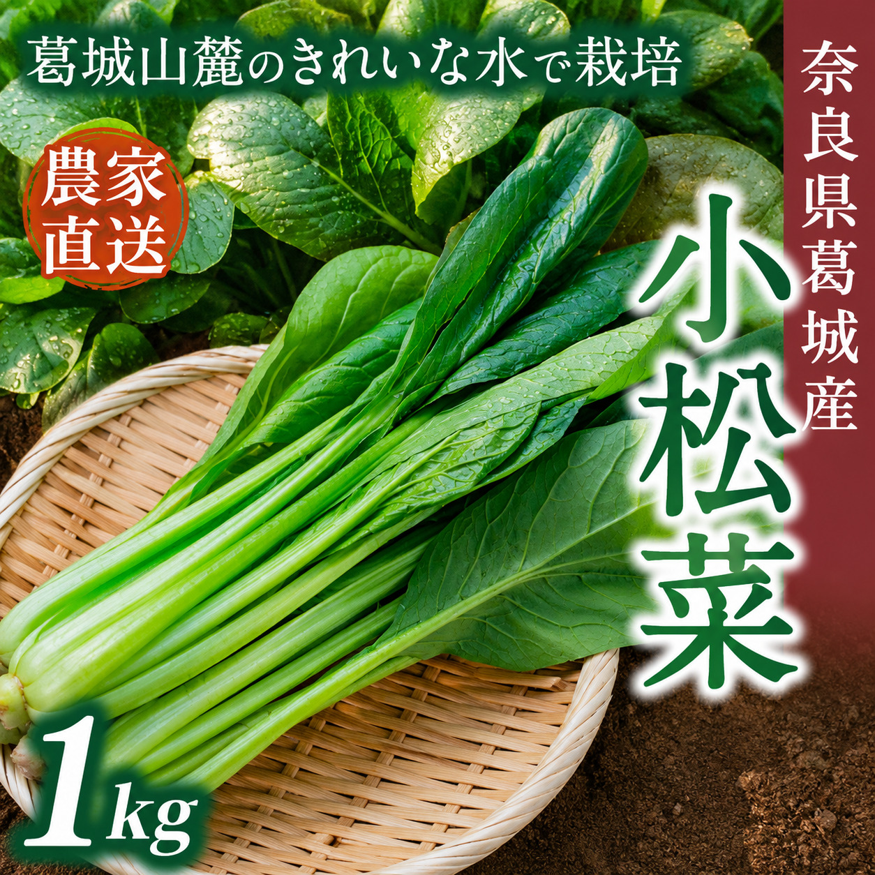 奈良県産 小松菜 約1kg  【順次発送】／ スマイル葛城農業 野菜  小松菜 農家直送 産直 新鮮 旬 サラダ 名産 健康 美容 栄養 奈良県 葛城市【smlk060】