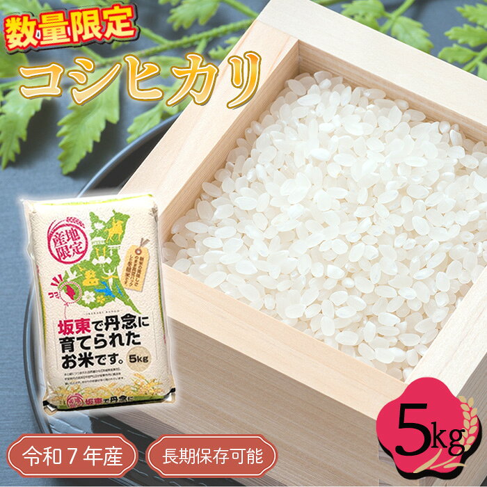 【ふるさと納税】 「令和7年産米」コシヒカリ　5kg【長期保存可能！】 ／ 令和7年 新米 米 お米 精米 白米 ご飯 国産米 5kg 5キロ こしひかり 甘み 粘り 真空 真空パック 長期保存 備蓄 買い置き 年中新米 おいしい お取り寄せ 産地直送 産直 No.763