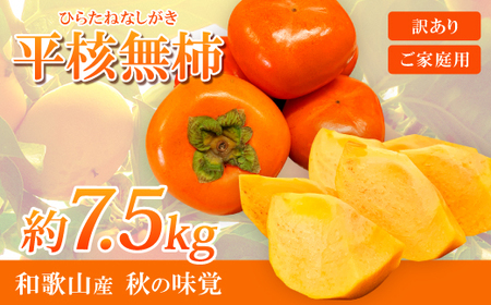 【先行受付】【日高町】【ご家庭用わけあり】和歌山秋の味覚　平核無柿(ひらたねなしがき)　約7.5kg【1217363】