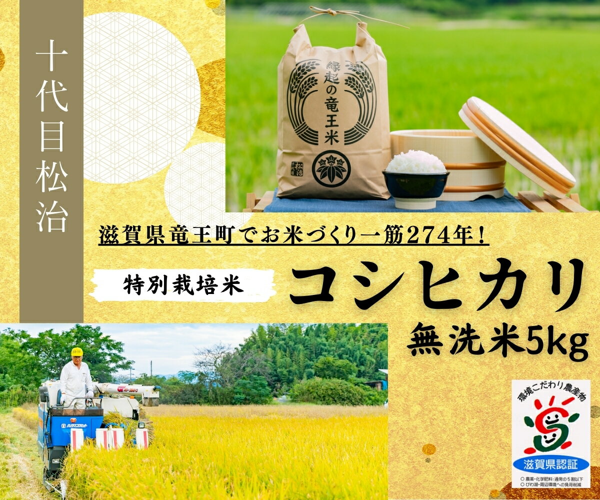【ふるさと納税】 コシヒカリ 無洗米 5kg 縁起の竜王米 ( 令和7年産 新米 むせんまい おこめ ごはん 米 特別栽培米 ブランド米 ライス こだわり米ギフト 国産 滋賀県 竜王町 ふるさと納税 )
